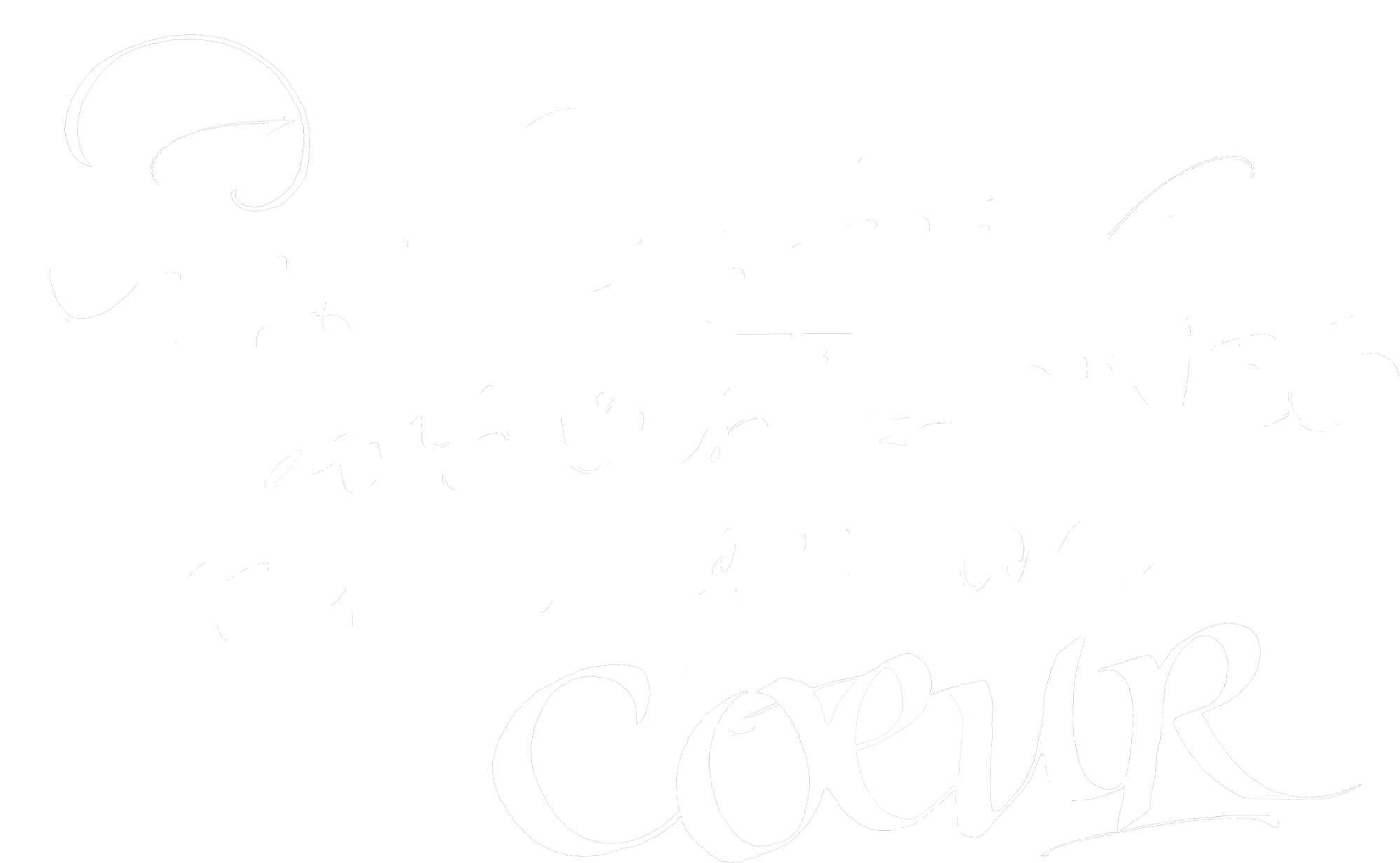 Calligraphie racines - Cécile Pierre